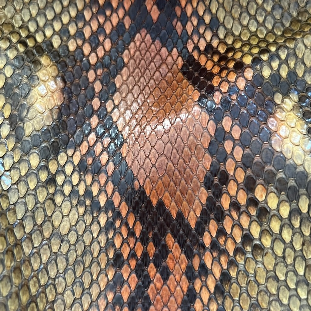 Gucci Python Snake Skin And Leather Handle Bag Wi… - image 2